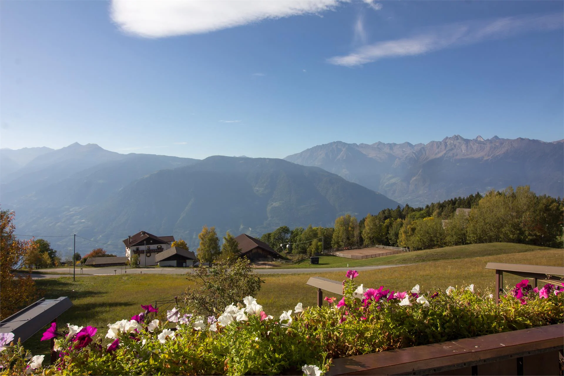 Gasthof Alpenrose Vöran/Verano 3 suedtirol.info