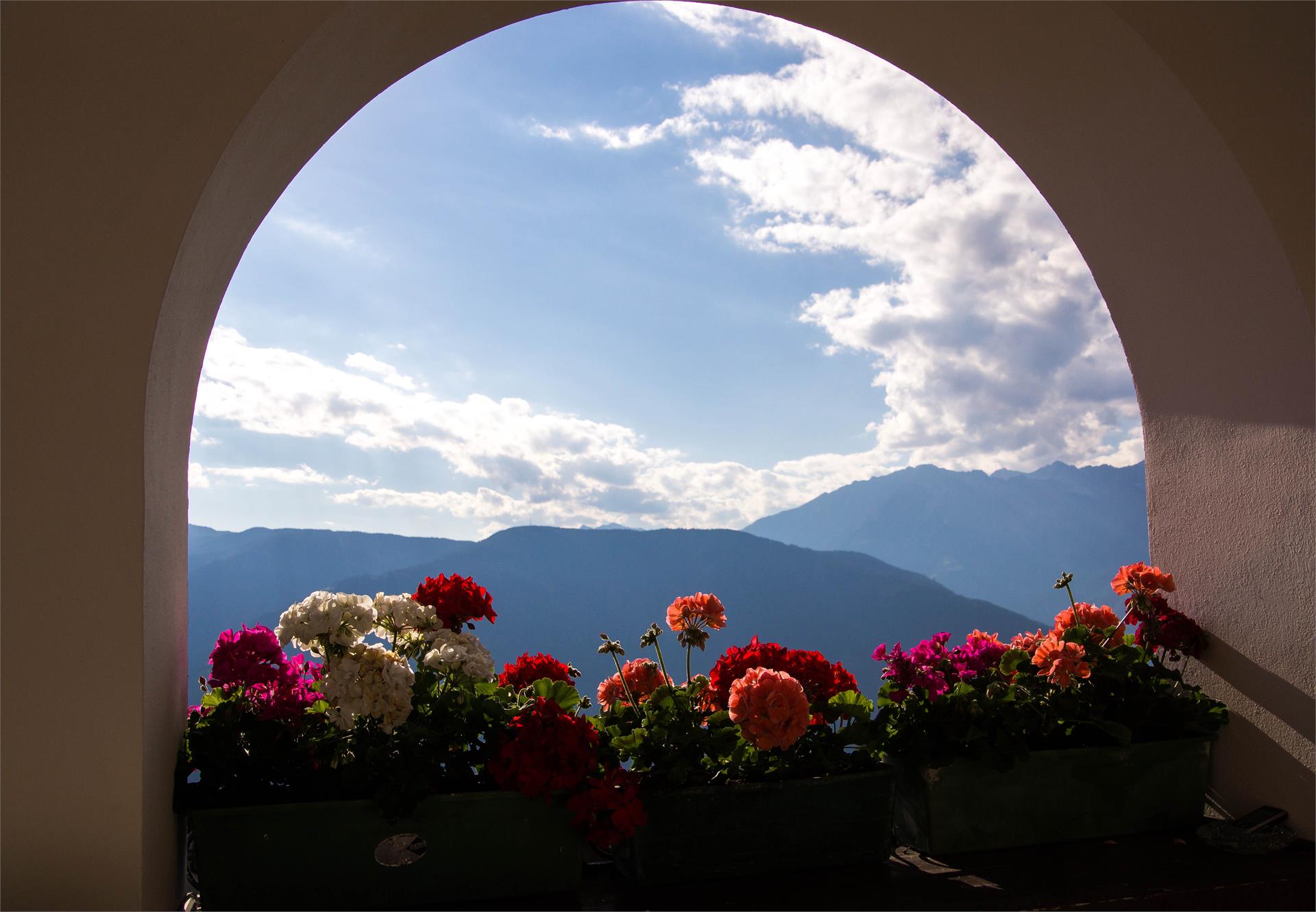 Gasthof Alpenrose Vöran 2 suedtirol.info