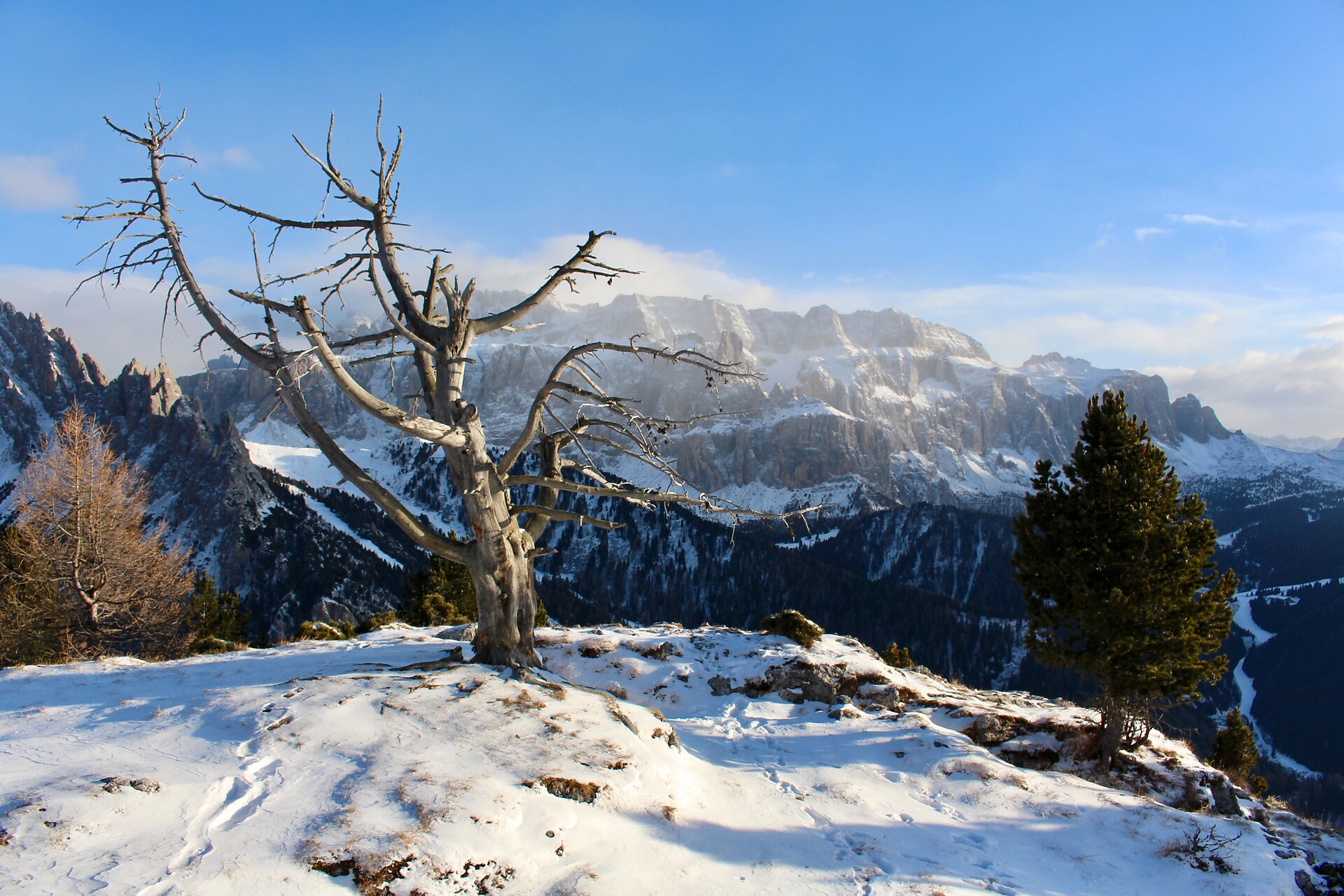 Winter