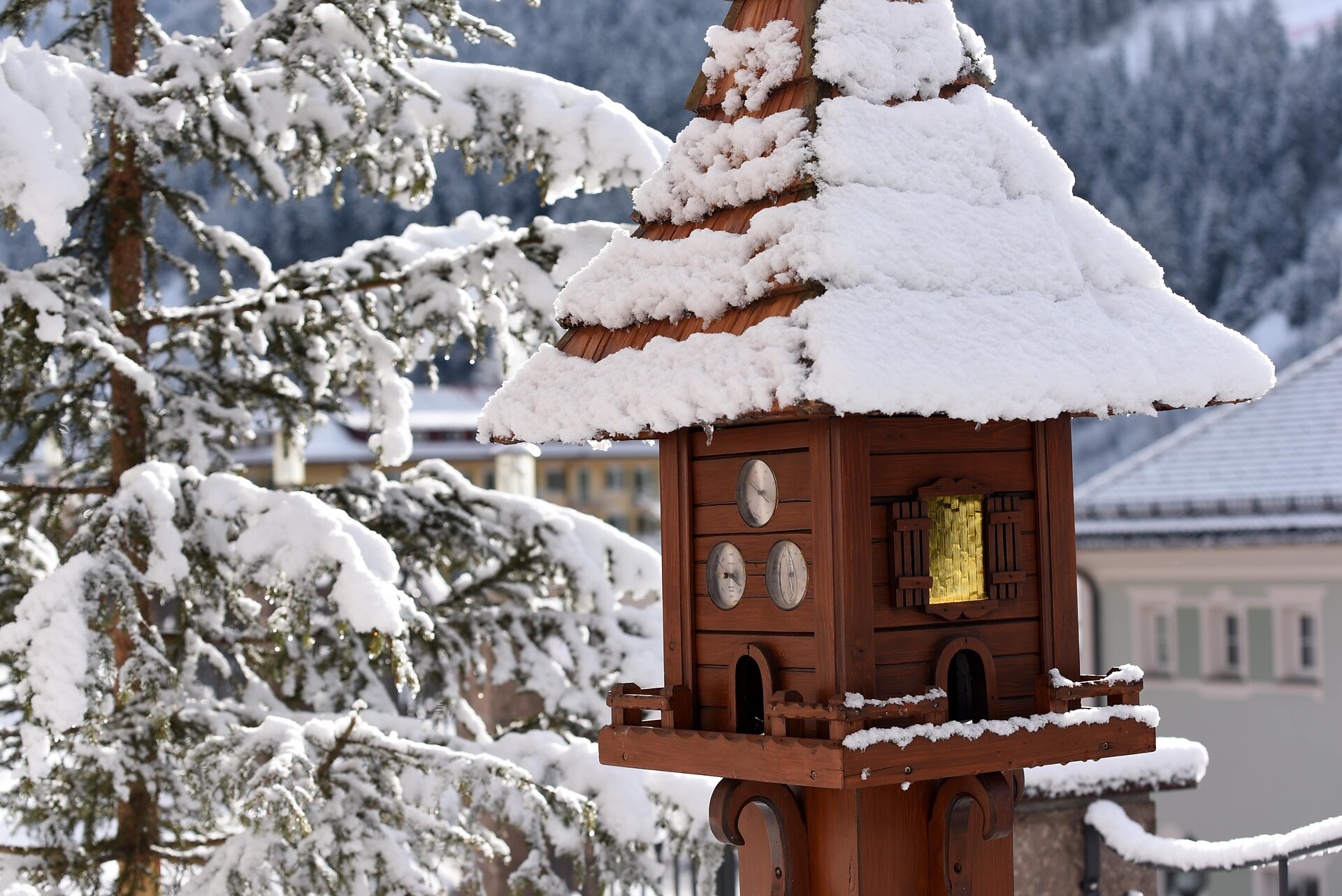 Winter