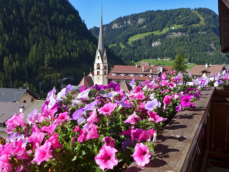 Ausblick