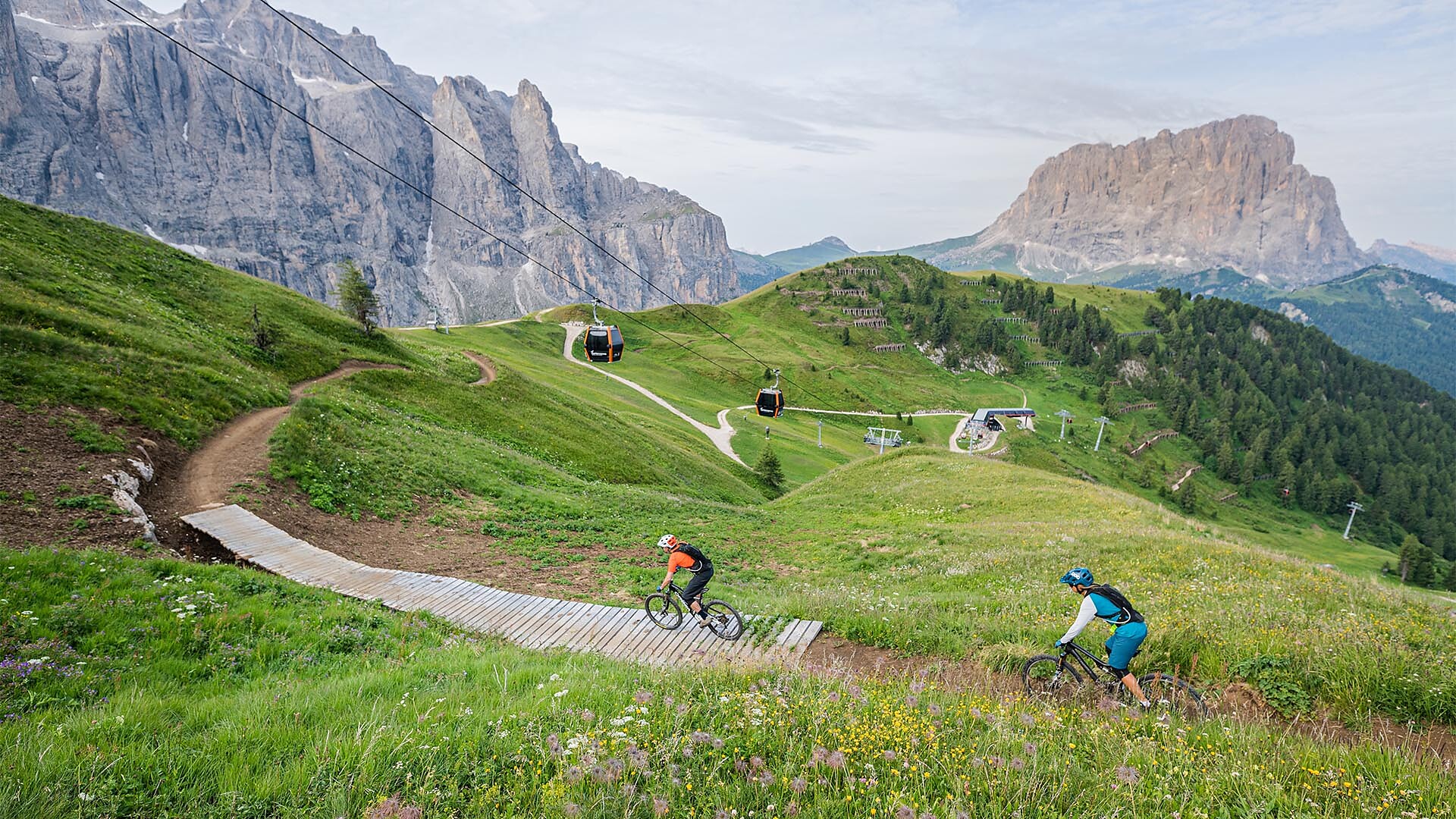 Mountain bike
