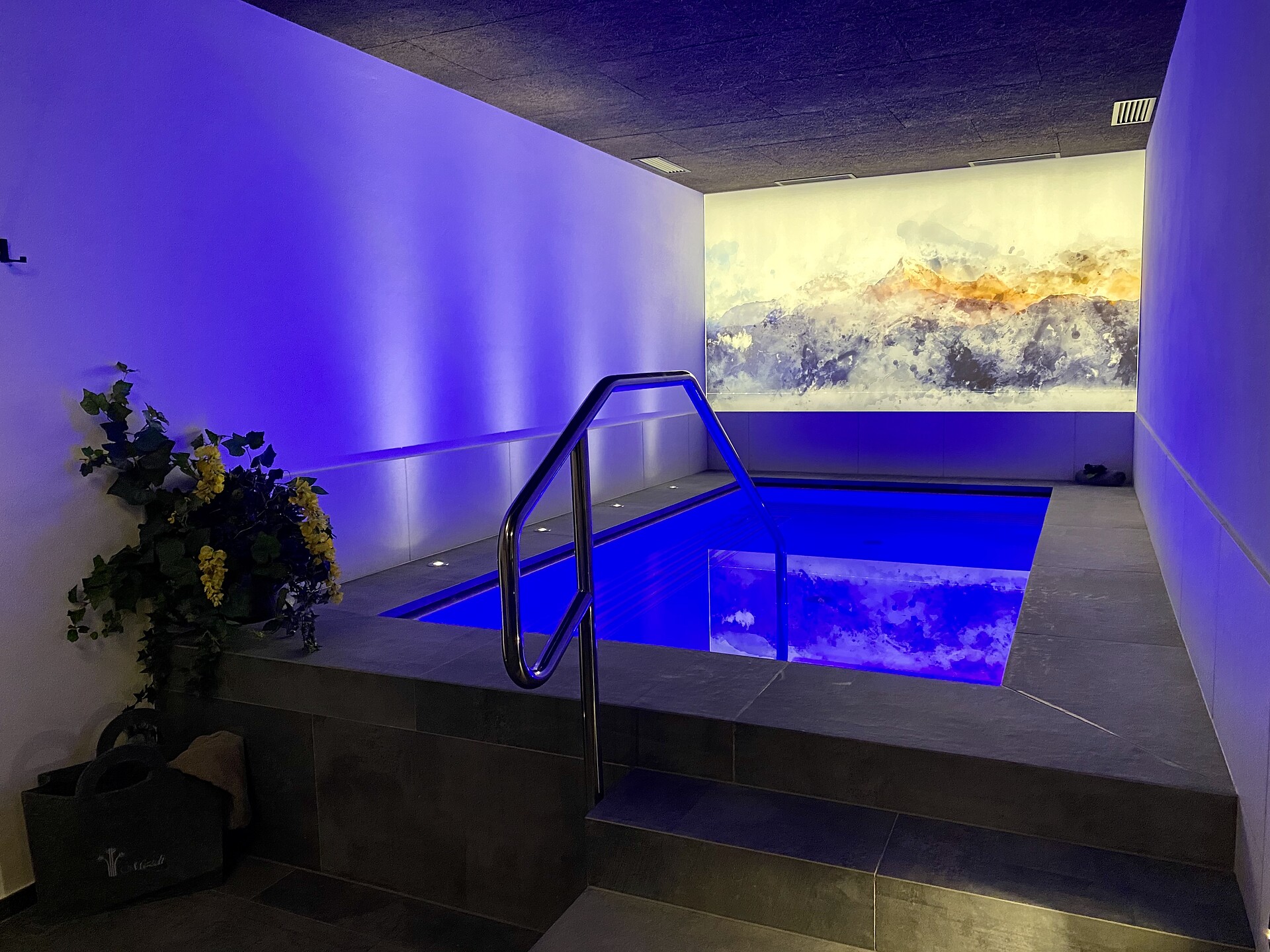 Garni-Hotel Mezdi Wellness B&B & App. Selva 21 suedtirol.info