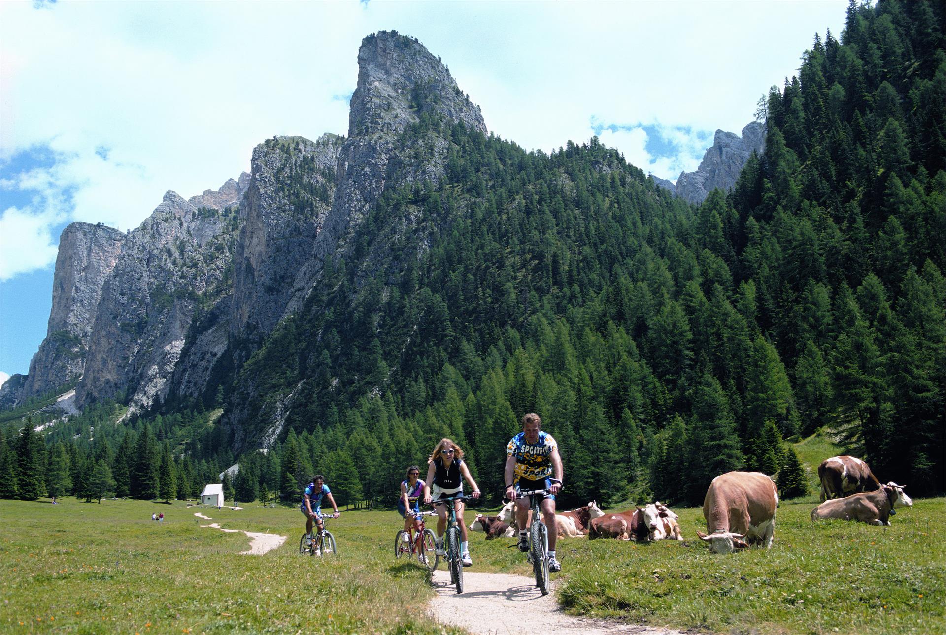 Garni-Hotel Mezdi Wellness B&B & App. Selva 6 suedtirol.info