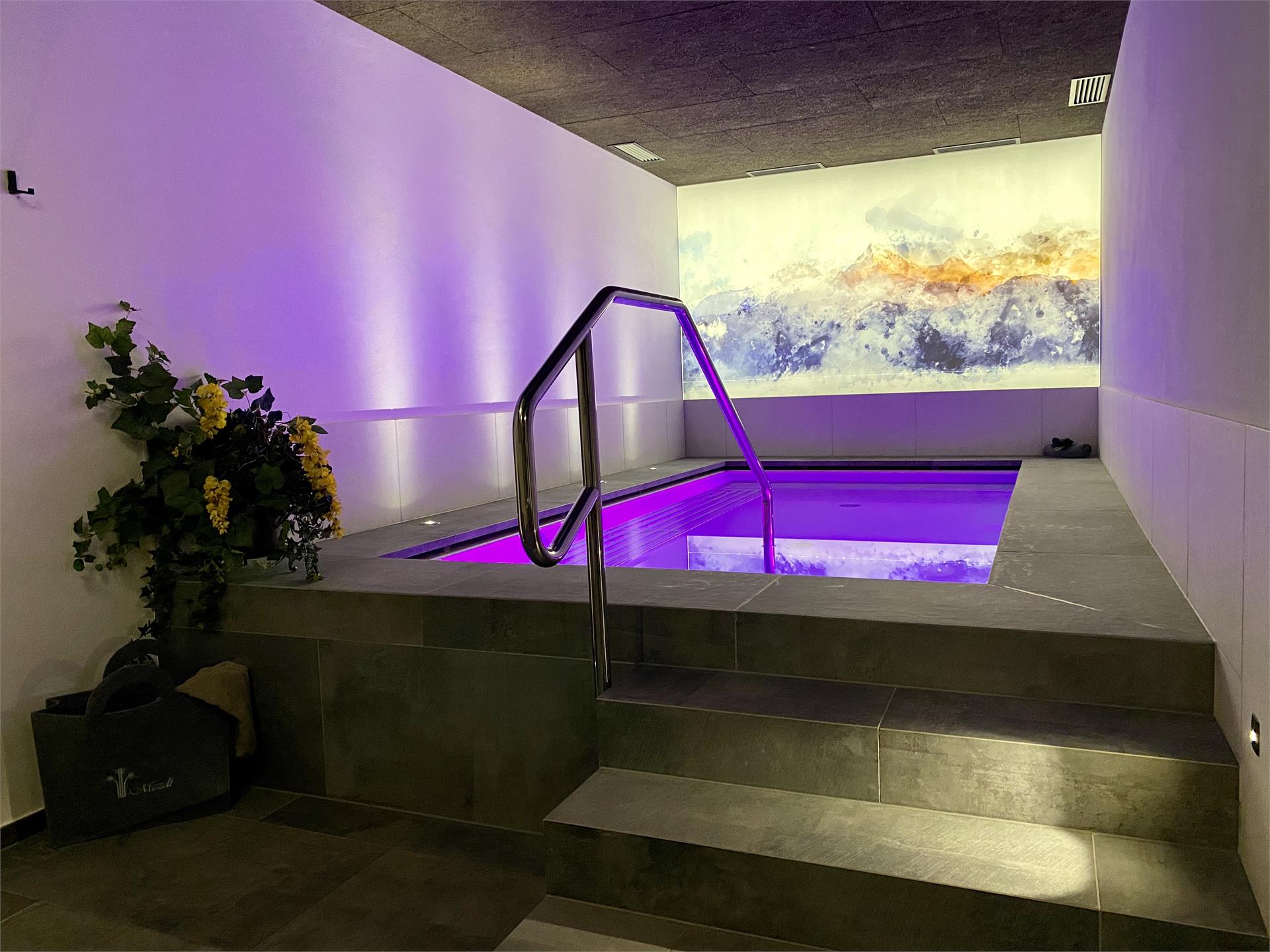 Garni-Hotel Mezdi Wellness B&B & App. Selva 22 suedtirol.info