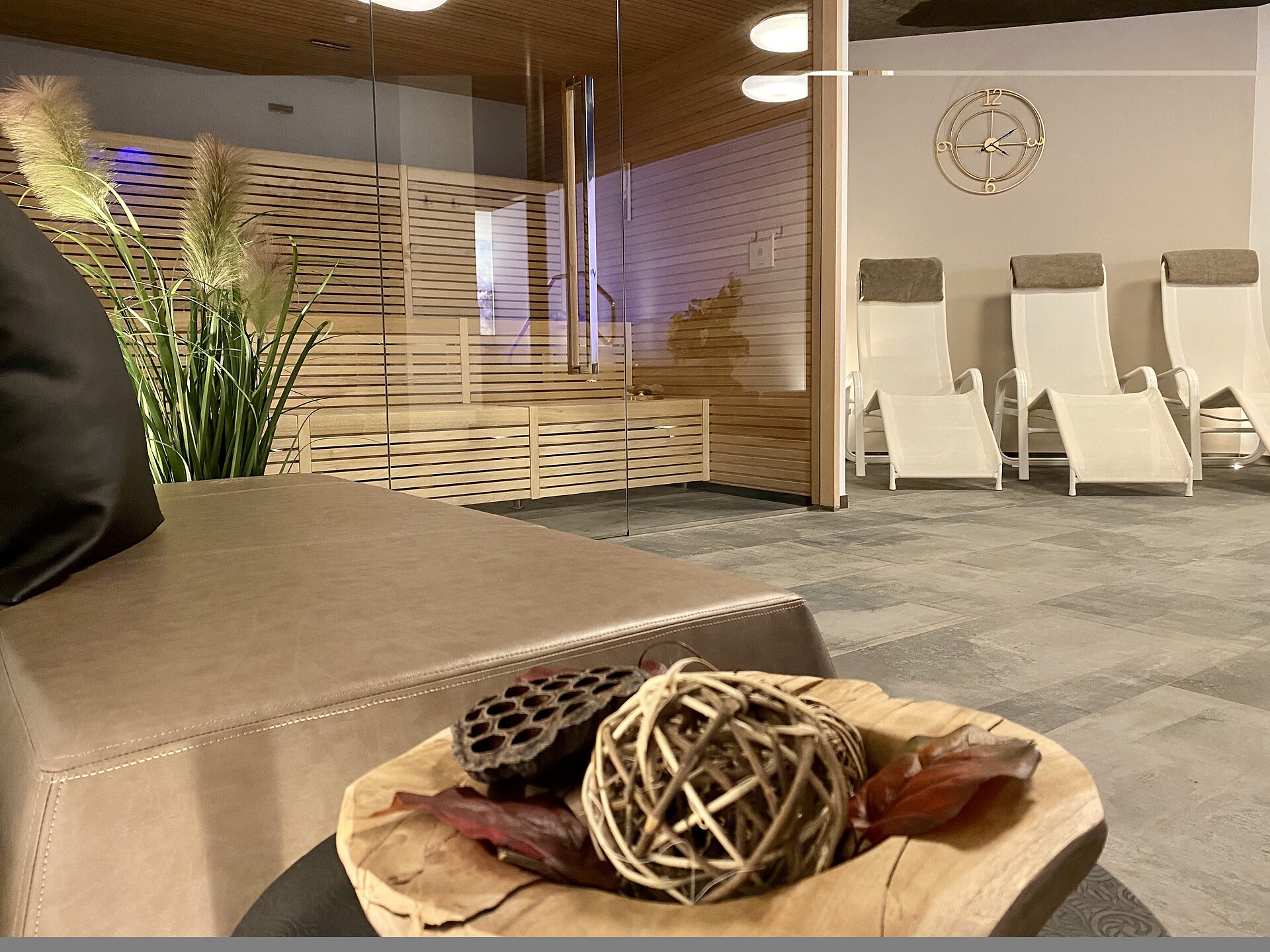 wellness