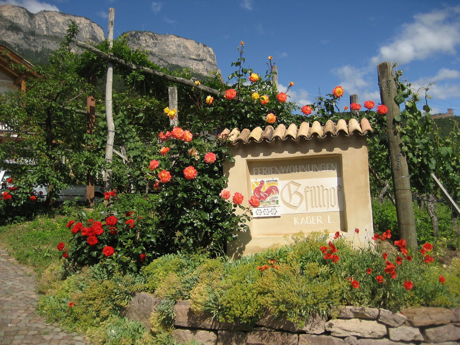 Rosenblüte Hofeinfahrt