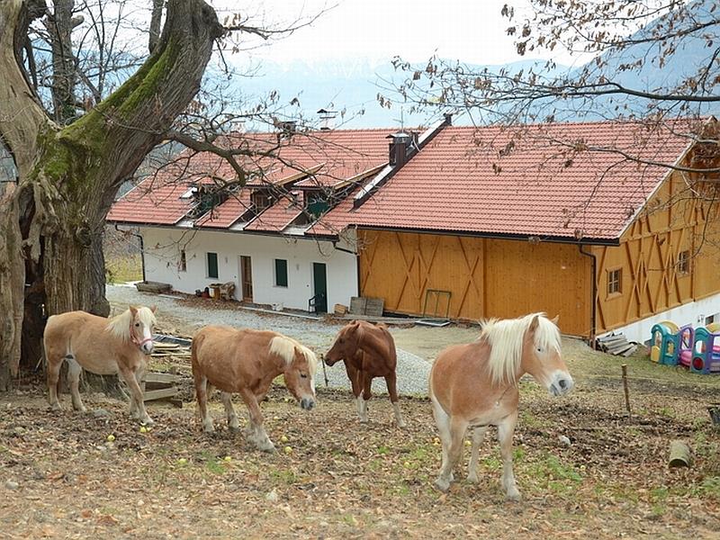 Gasserhof Natz-Schabs 10 suedtirol.info