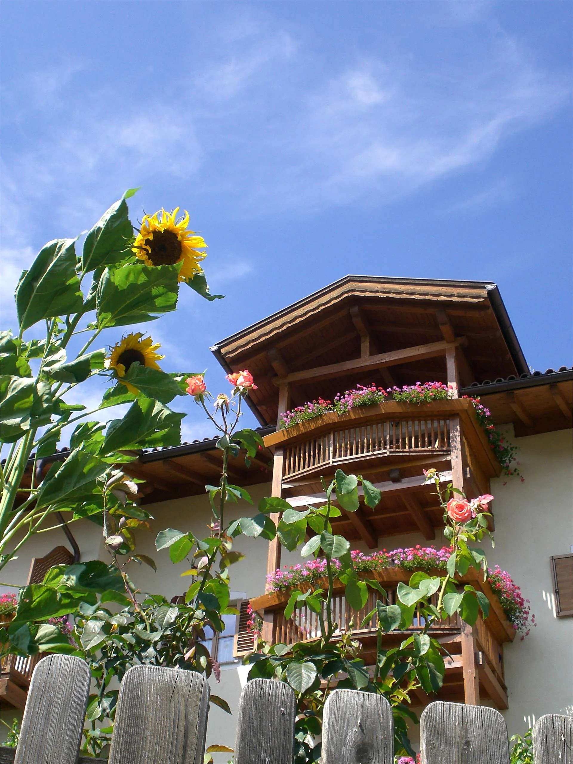 Gasser-Obergostnerhof Klausen/Chiusa 24 suedtirol.info