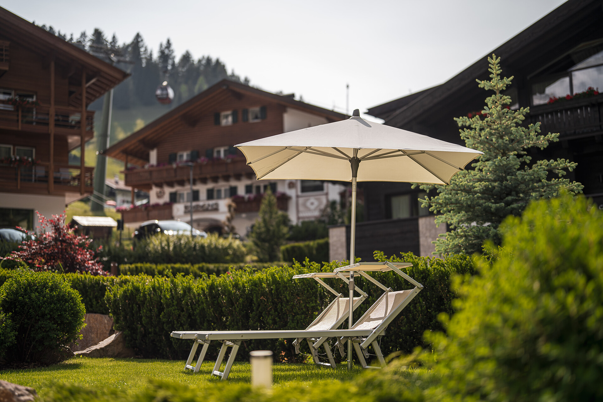 Garden with deckchairs and umbrellas