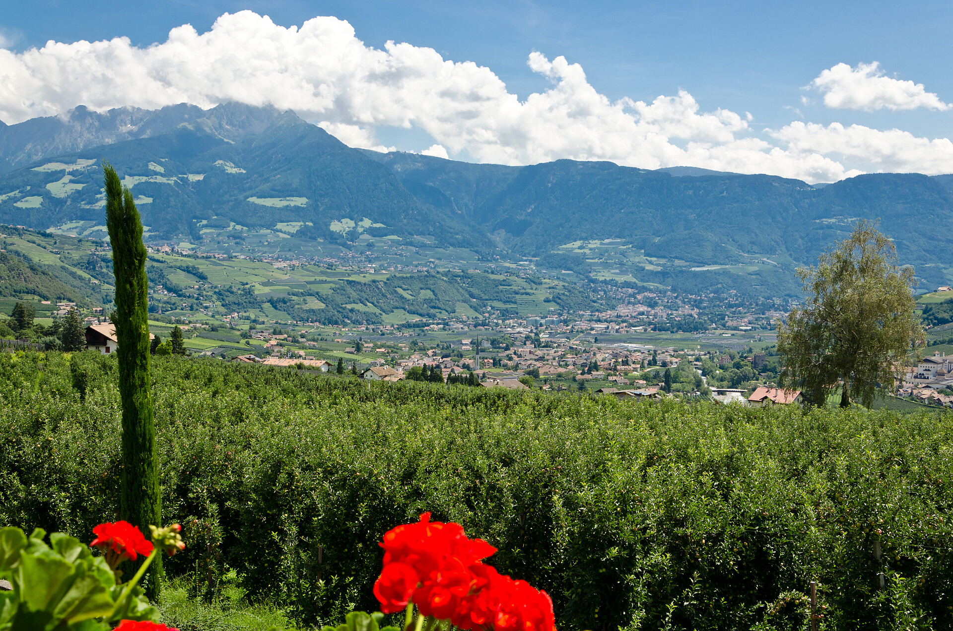 Garni Plarserhof Lagundo 31 suedtirol.info