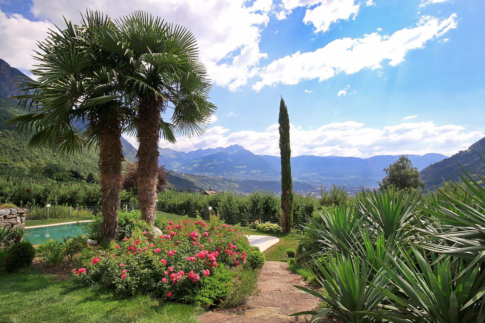 Garten mit Pool im Hintergrund