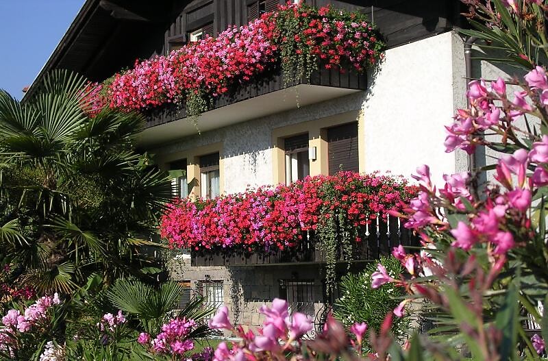 Oberangerhof im Juli