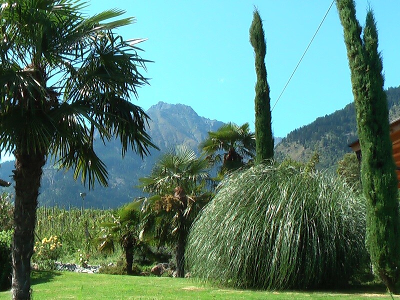Oberangerhof