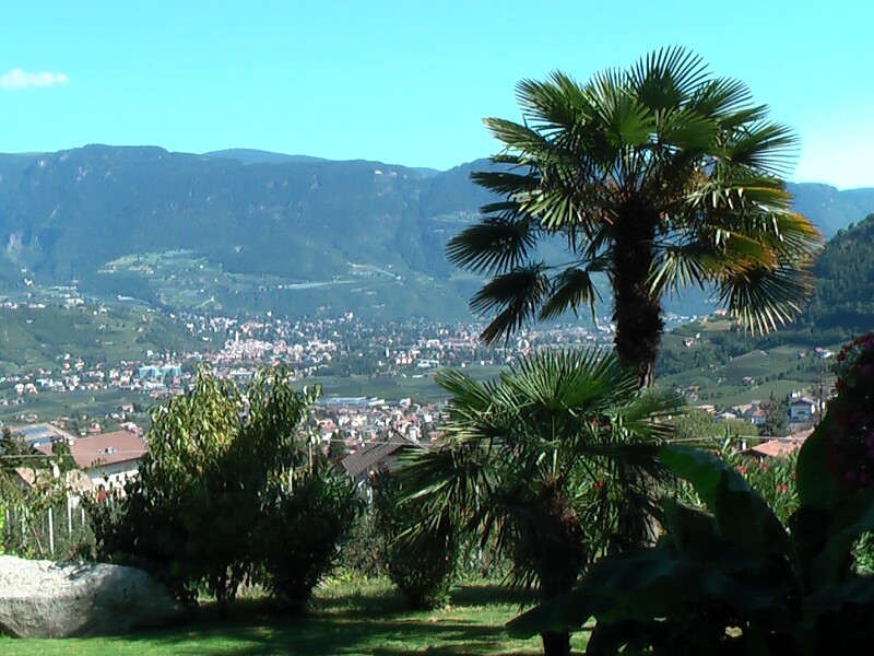 Oberangerhof