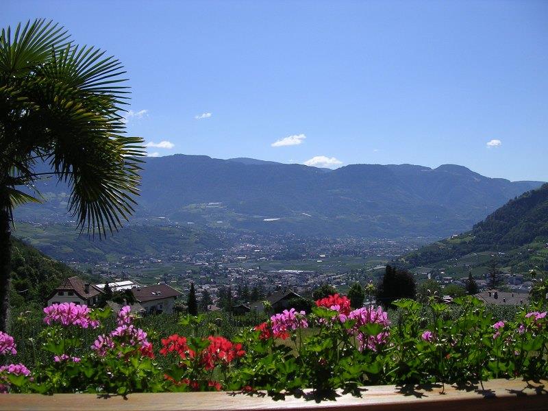 Garni Oberangerhof Algund/Lagundo 5 suedtirol.info