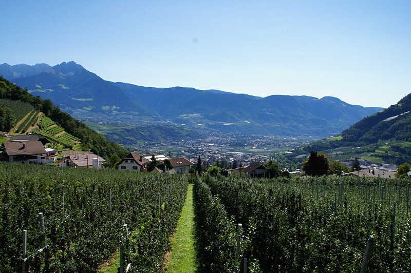 Oberangerhof
