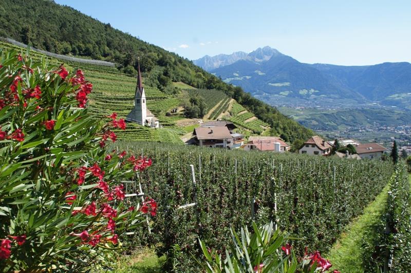 Garni Oberangerhof Algund/Lagundo 9 suedtirol.info