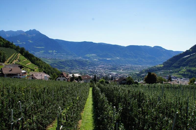 Garni Oberangerhof Algund/Lagundo 18 suedtirol.info