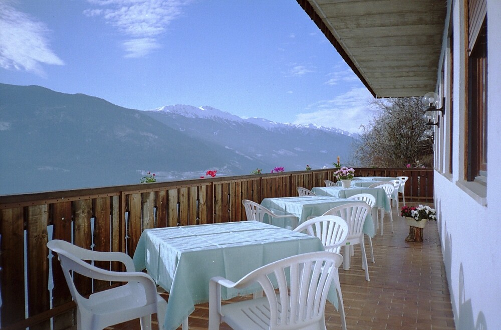 Panoramic view