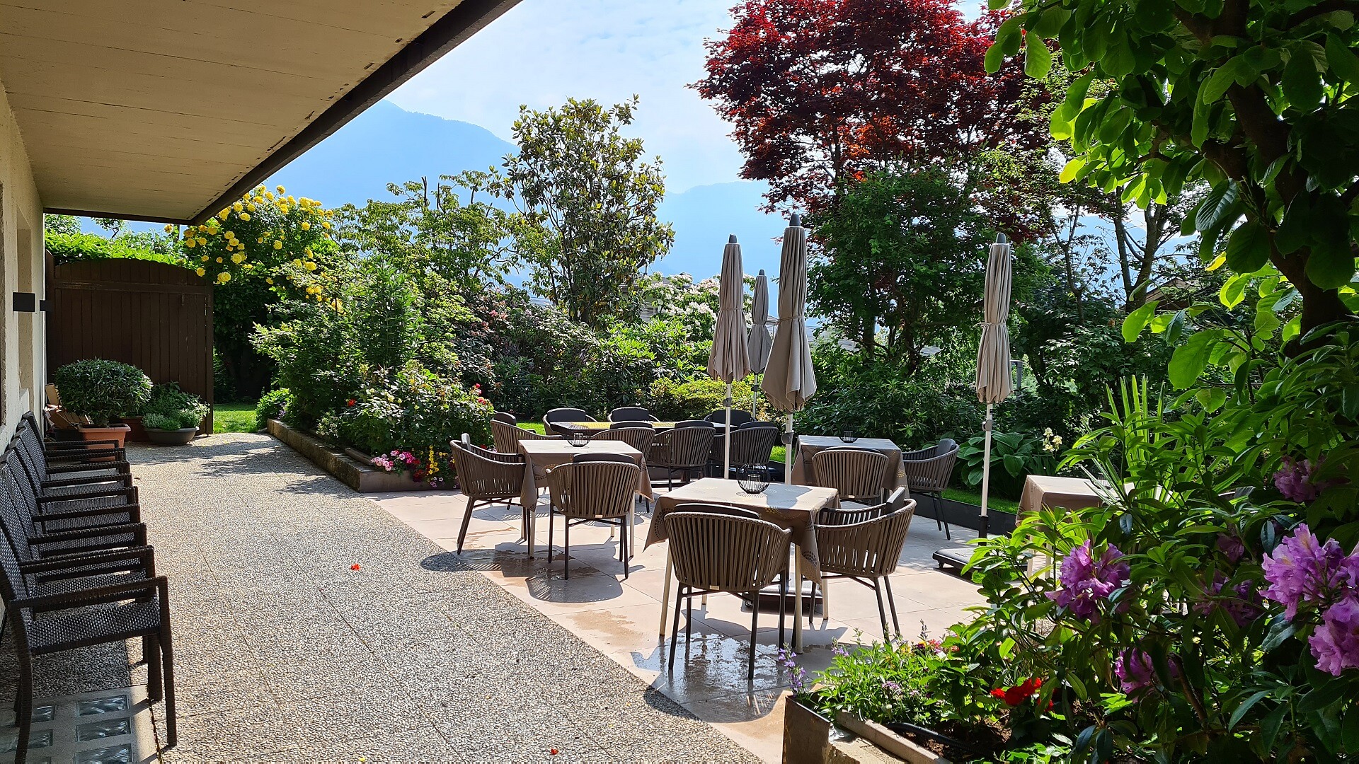 Giardino