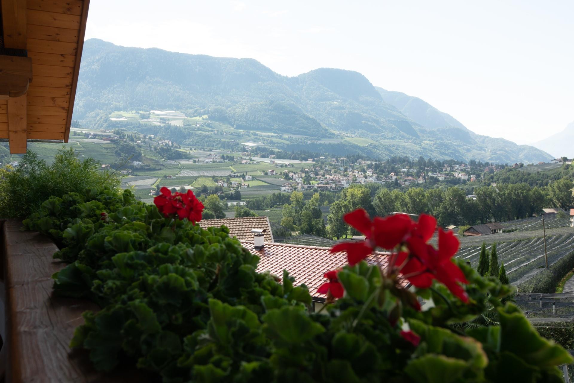 Garni Pircher Tirol 21 suedtirol.info