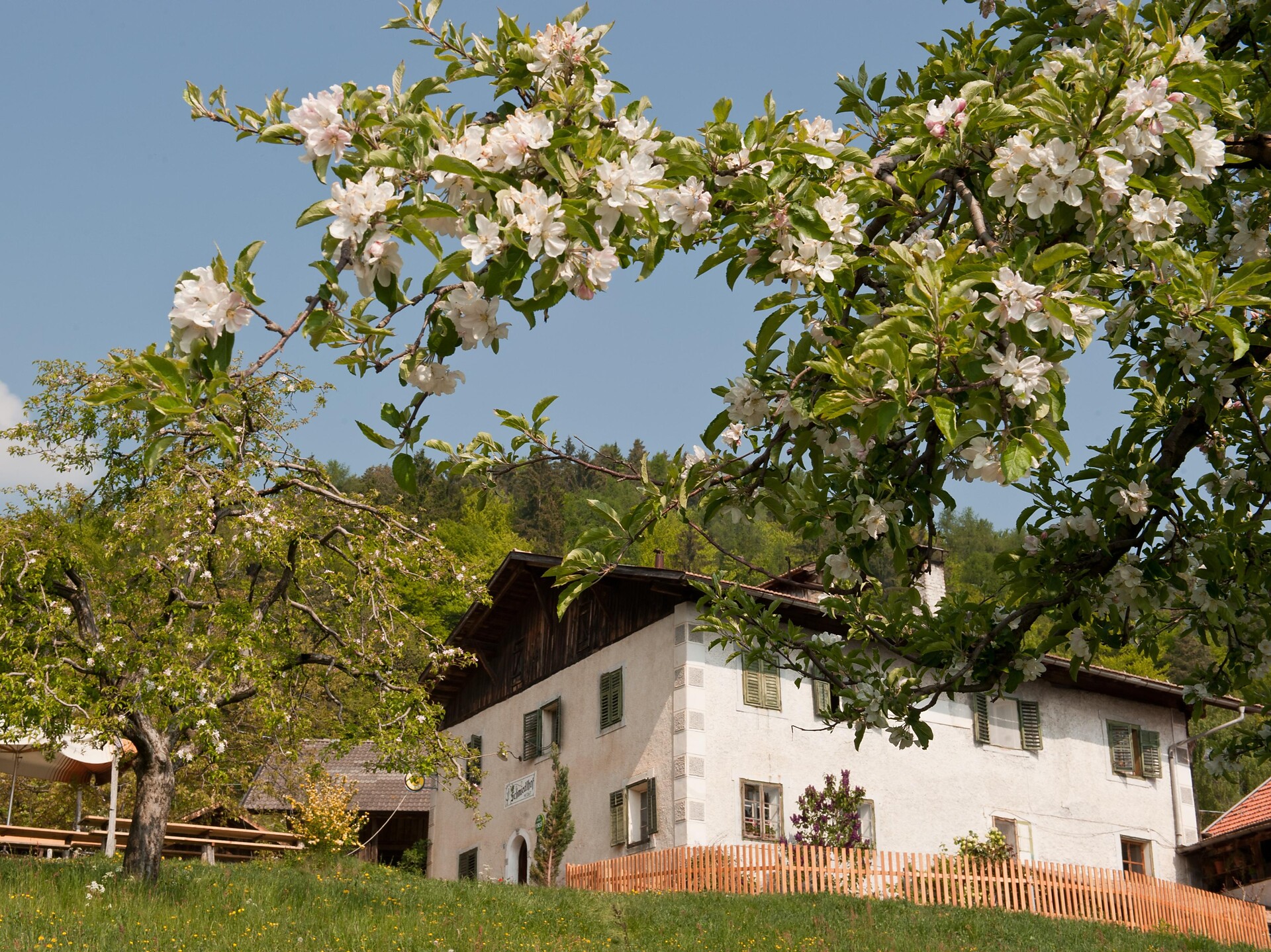 Gasthaus Schmiedlhof