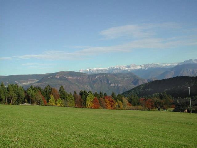 Albergo Gfrillerhof Tisens/Tesimo 3 suedtirol.info