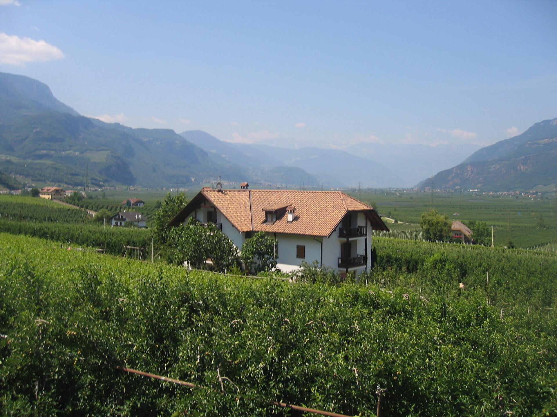 Geighof - Spitaler David - Strada del Vino - #2 - suedtirol.info