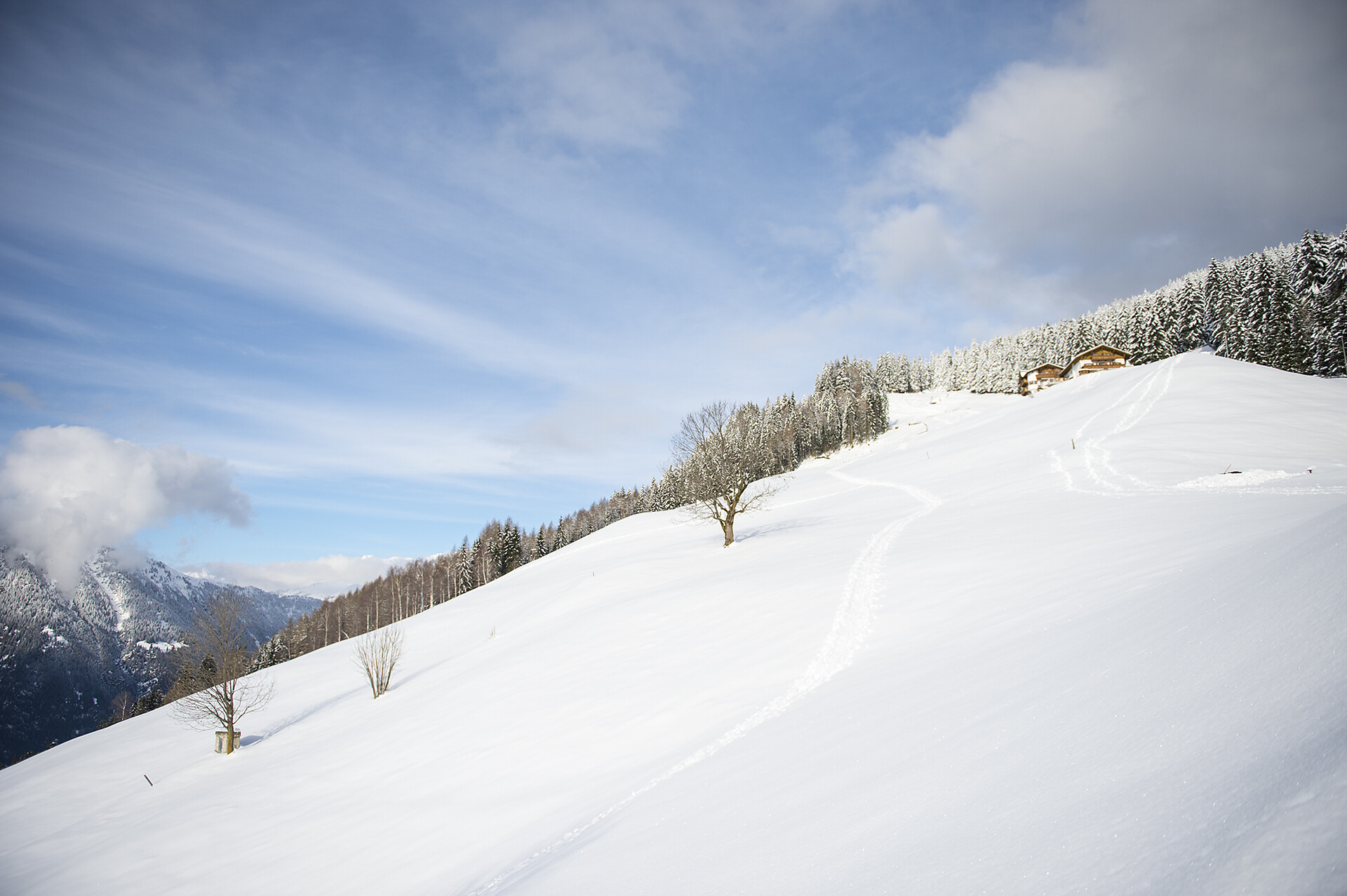 Gasthof Hochwies