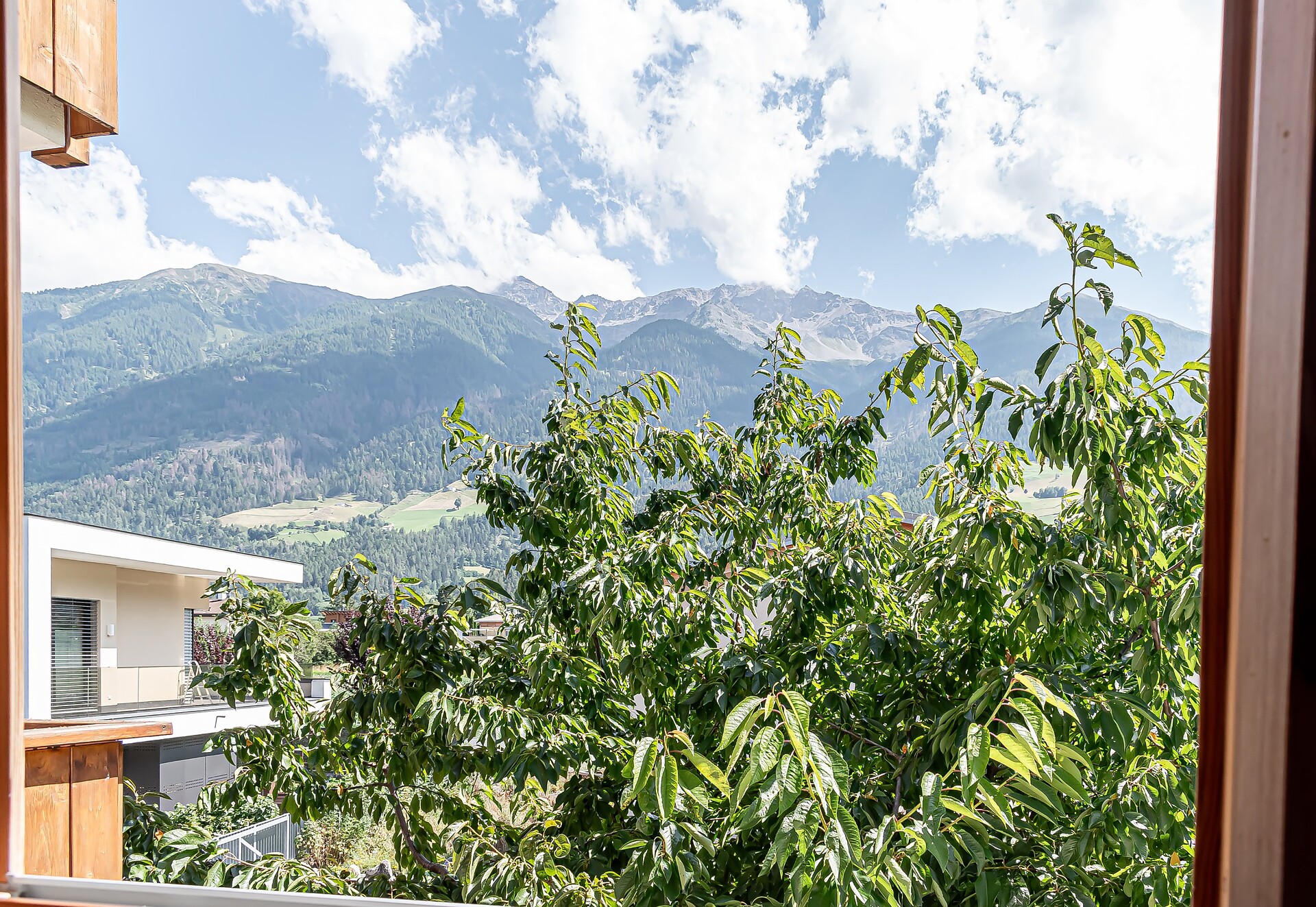 External panorama