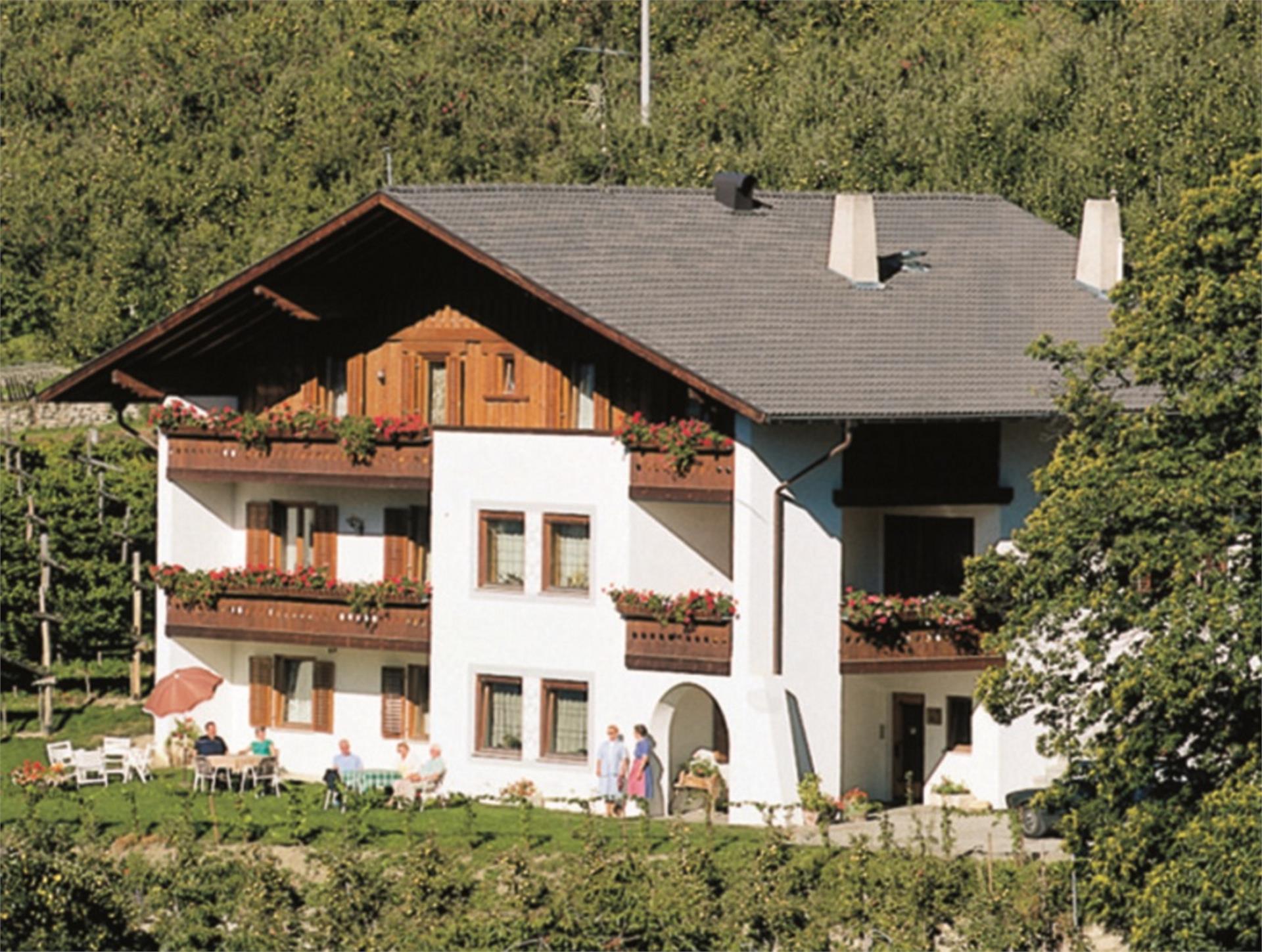 Garni Schuster Schlanders 2 suedtirol.info