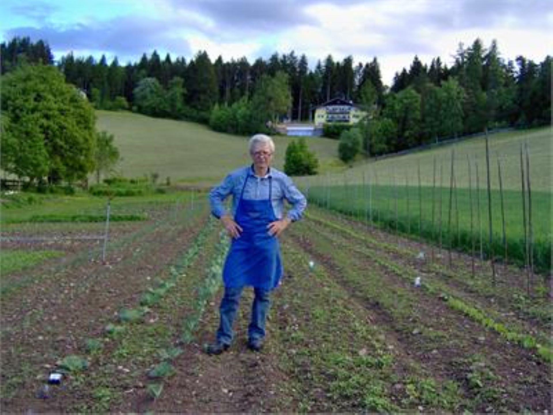 Albergo Allo Sciliar Völs am Schlern/Fiè allo Sciliar 18 suedtirol.info