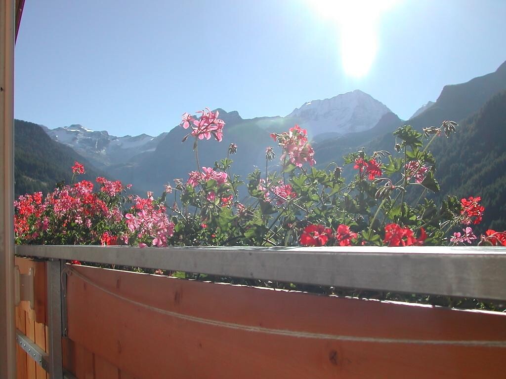 Panoramablick auf den Hochgall