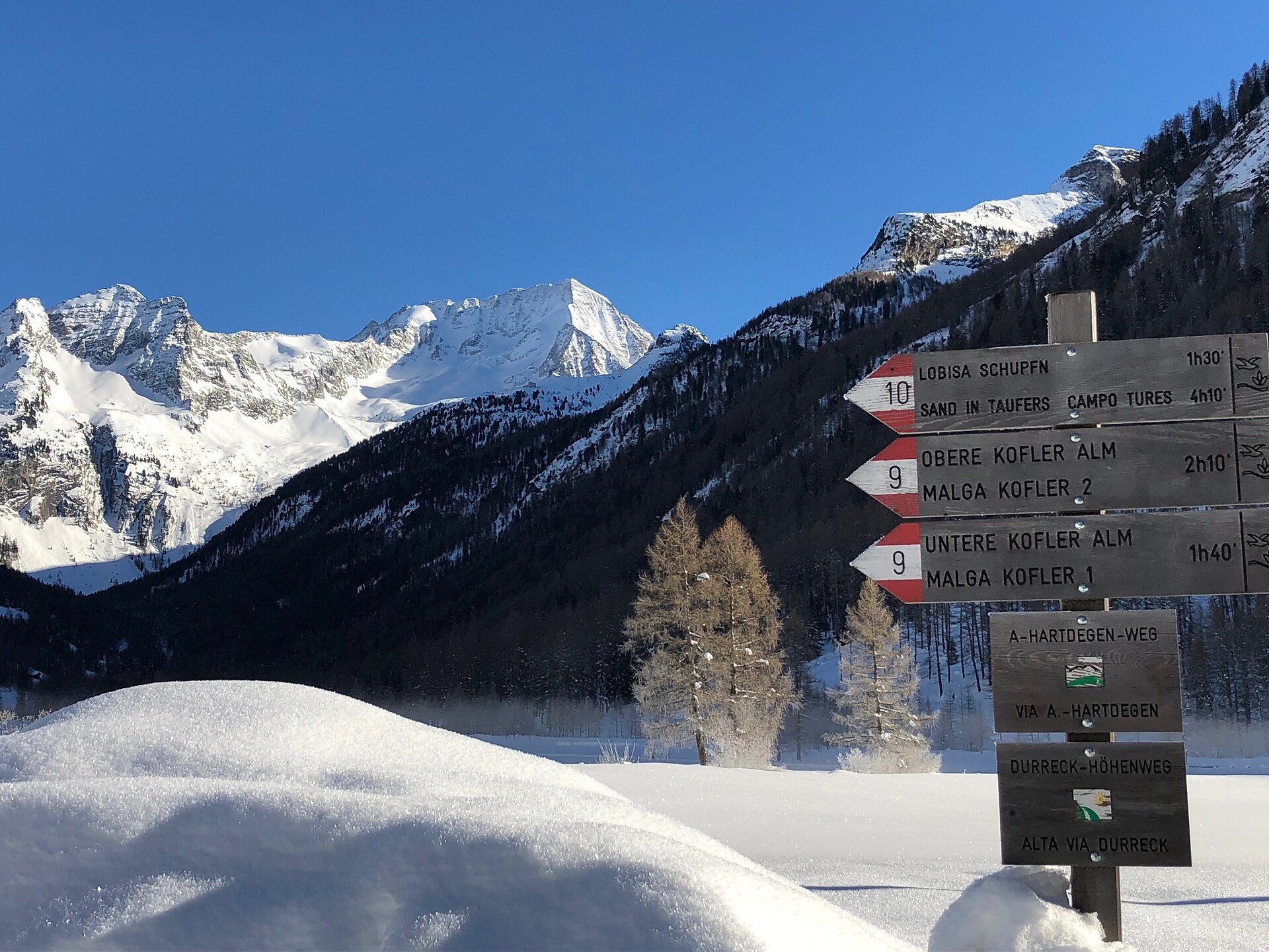 Blick Hochgall Rieserfernergruppe