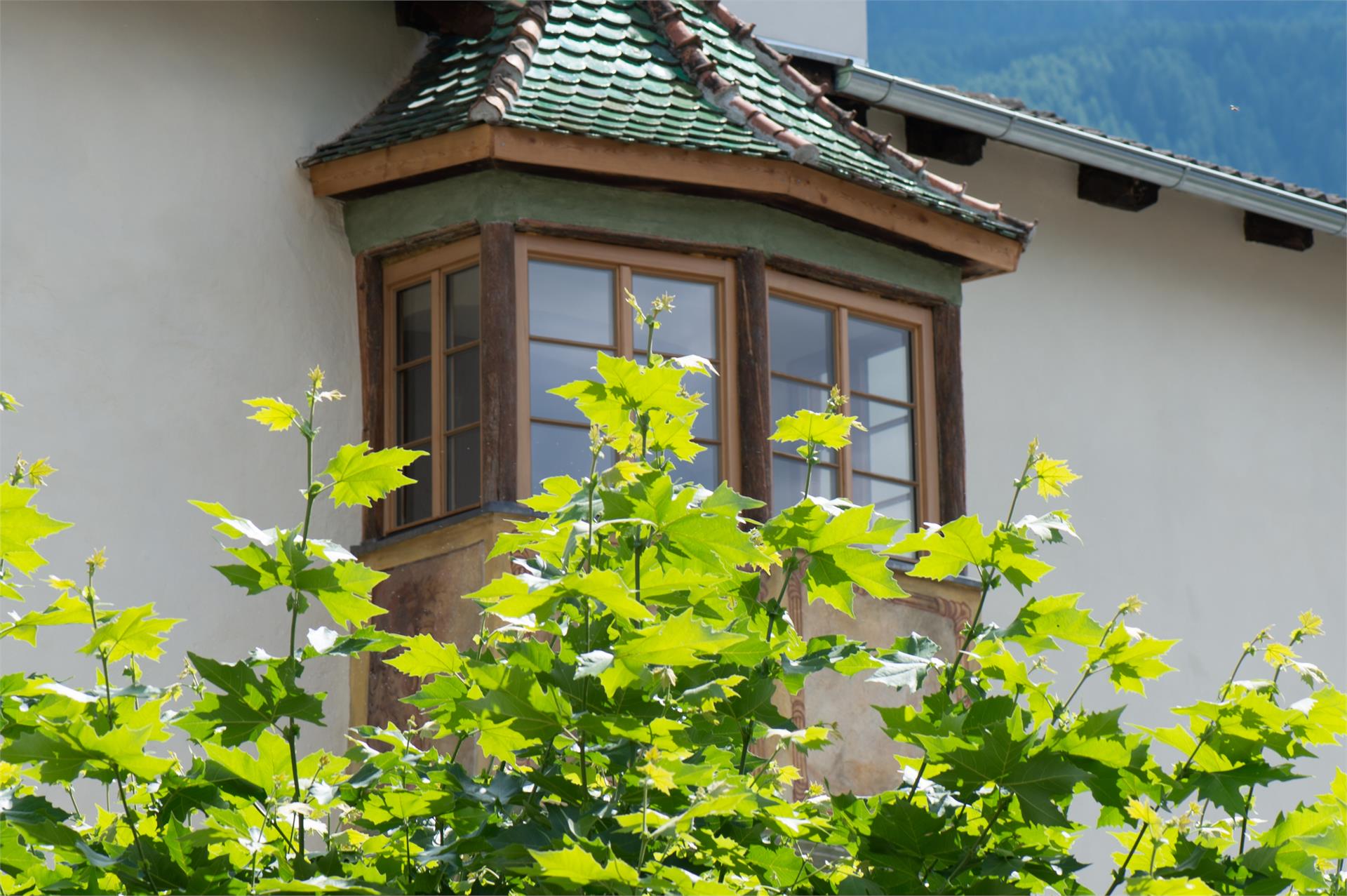 Gasthof zum Riesen Latsch/Laces 25 suedtirol.info