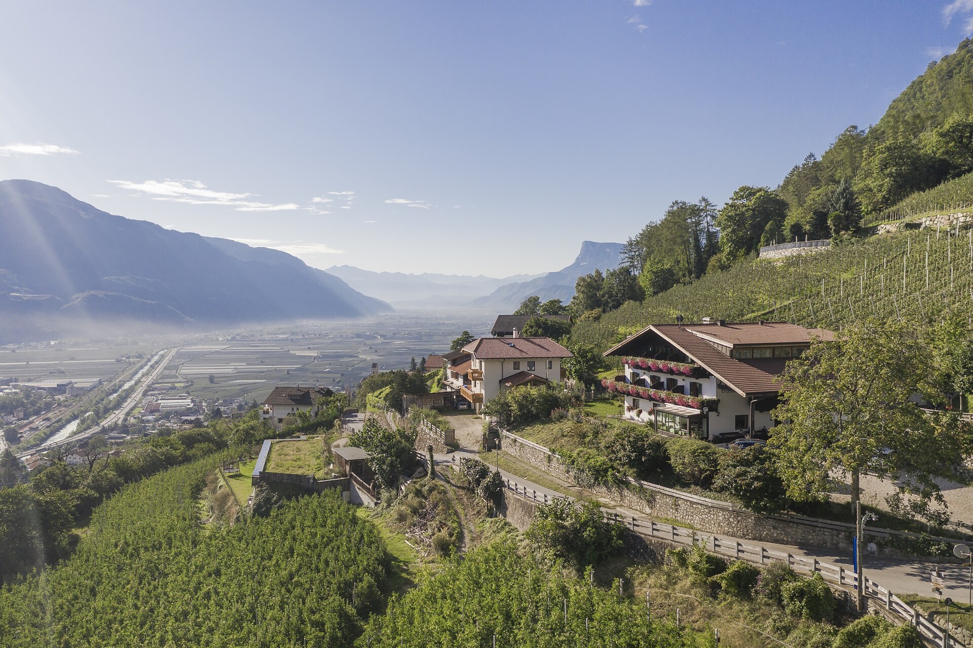 Panorama