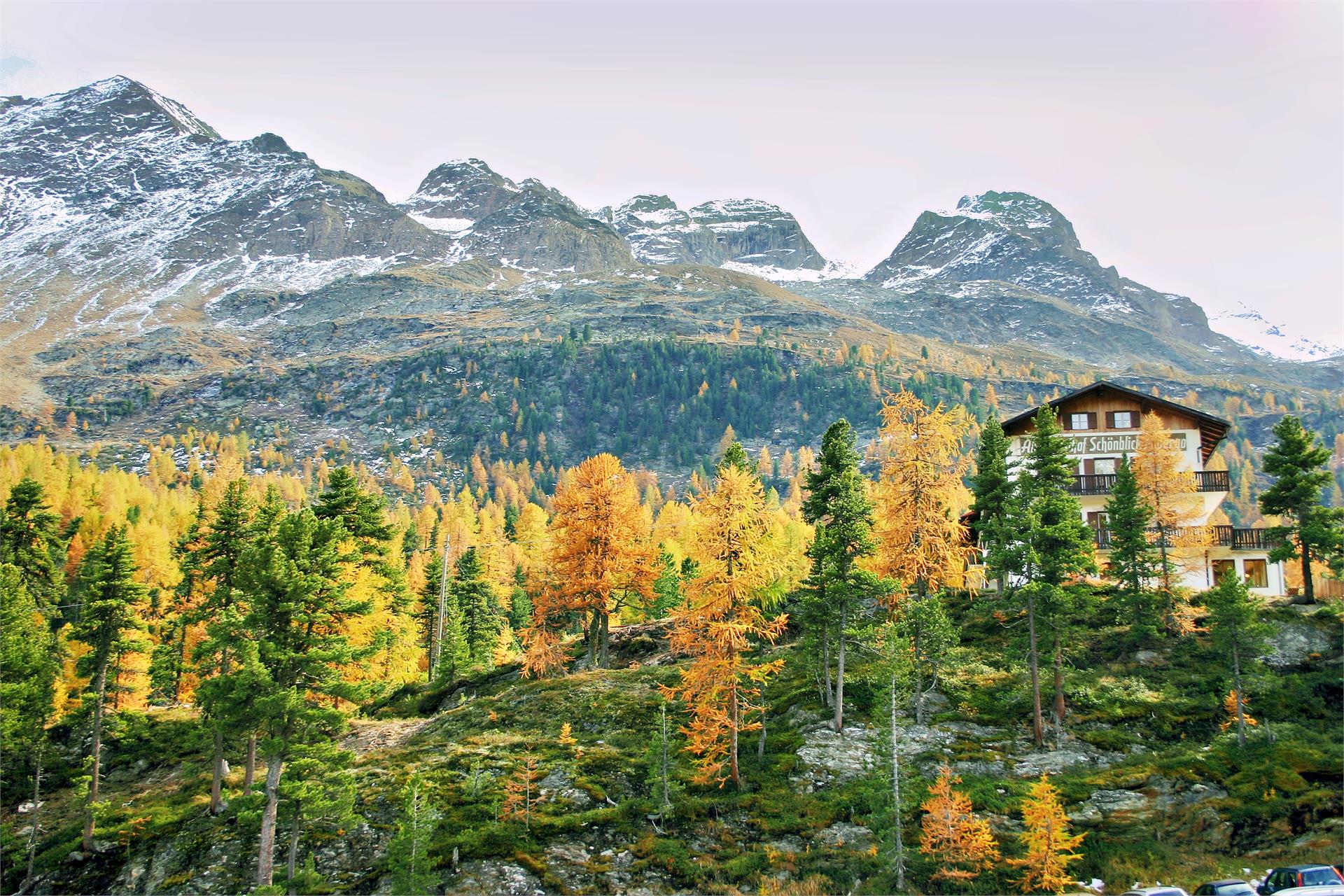 Gasthof Schönblick Martell/Martello 9 suedtirol.info