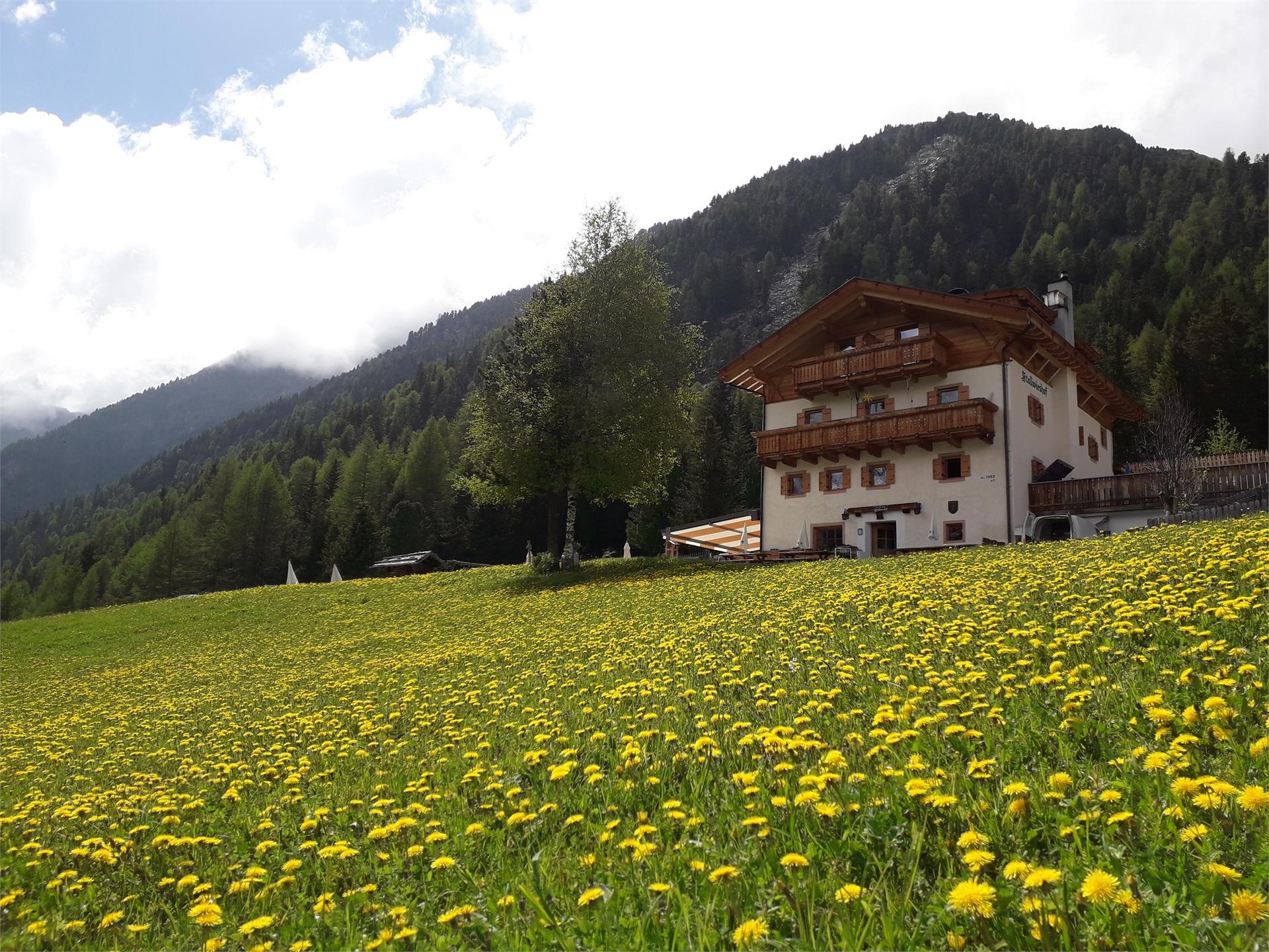 Gasthof Stallwies Martell/Martello 2 suedtirol.info