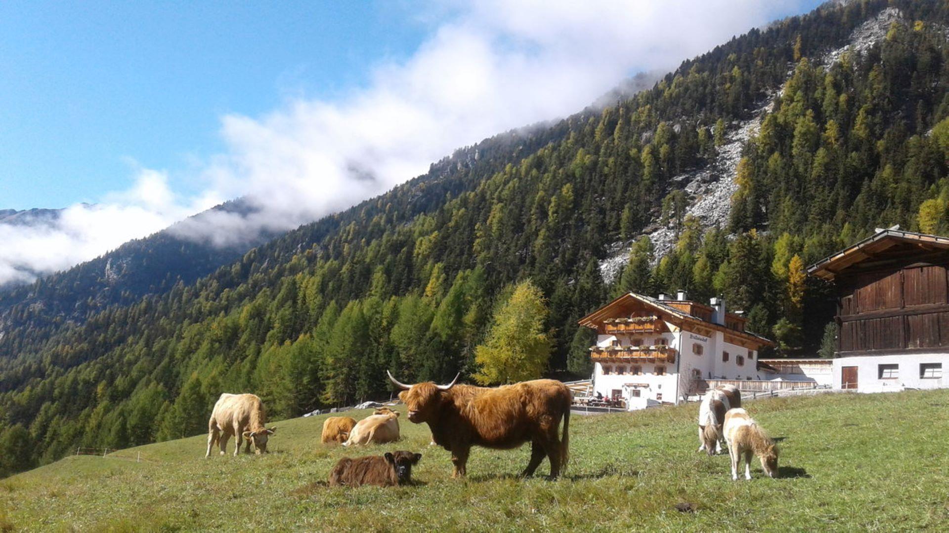 Gasthof Stallwies Martell/Martello 5 suedtirol.info