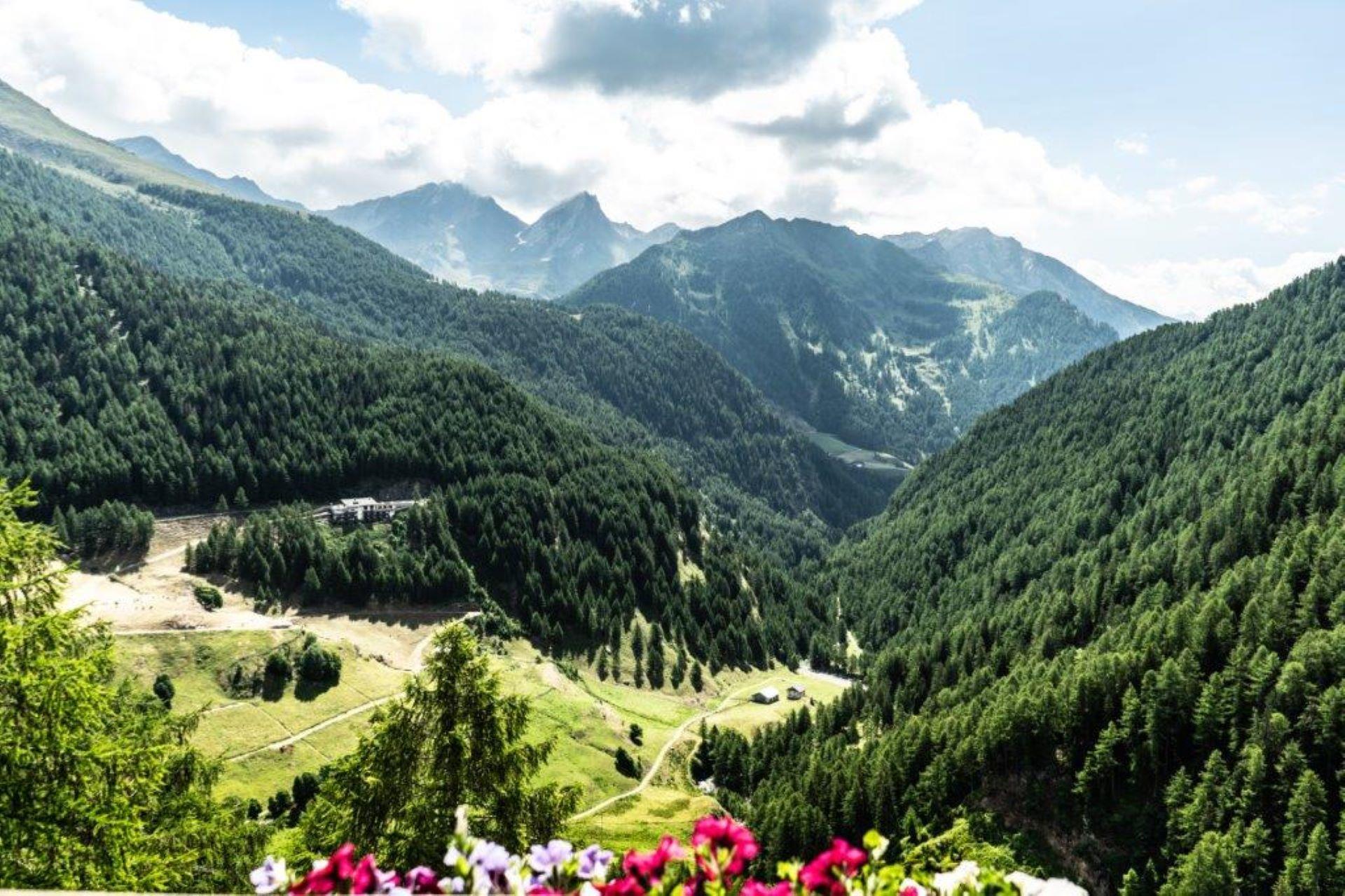Gasthof Hochfirst Moos in Passeier 4 suedtirol.info