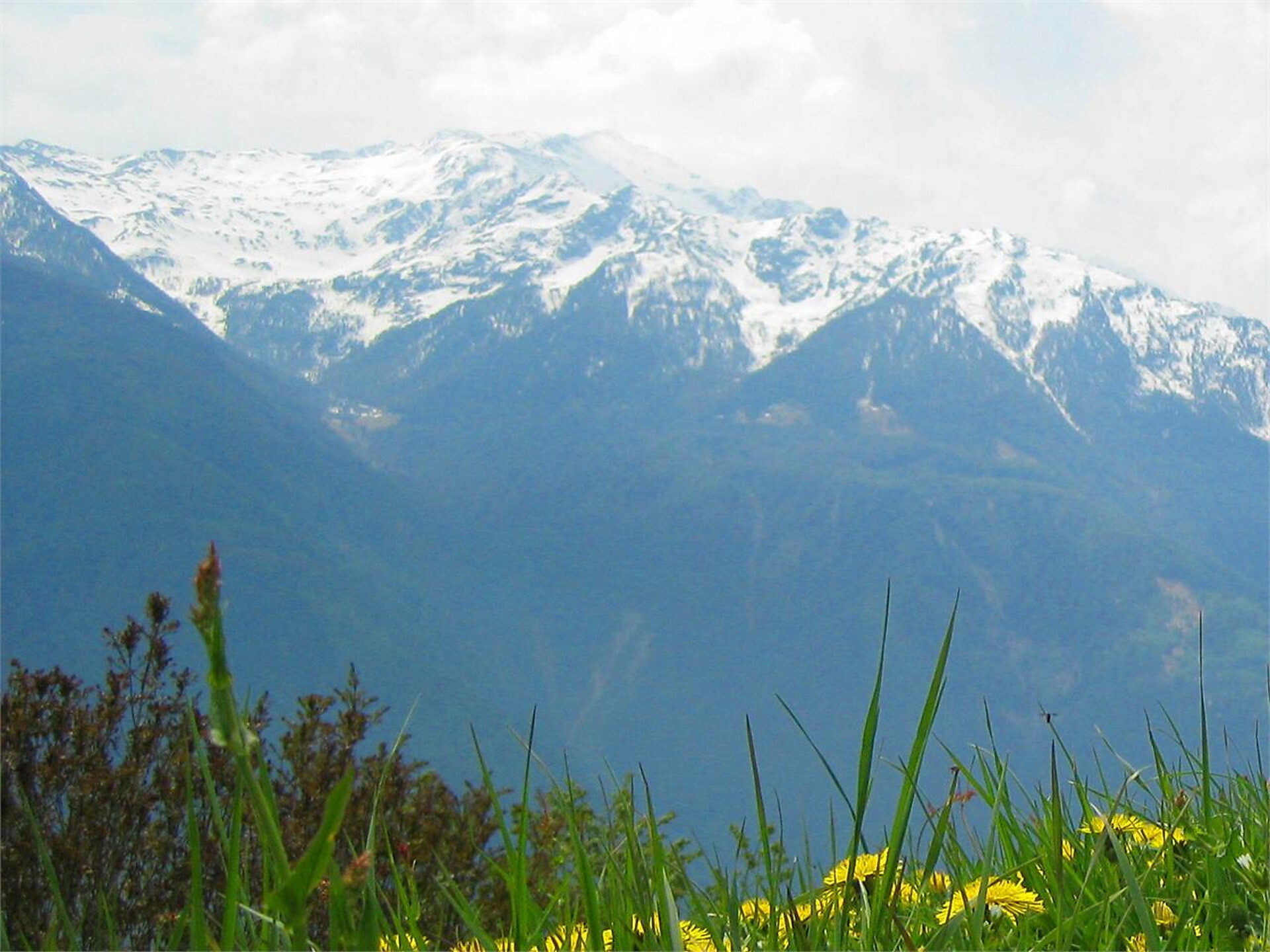 Albergo Paflur - Val Venosta - #2 - suedtirol.info
