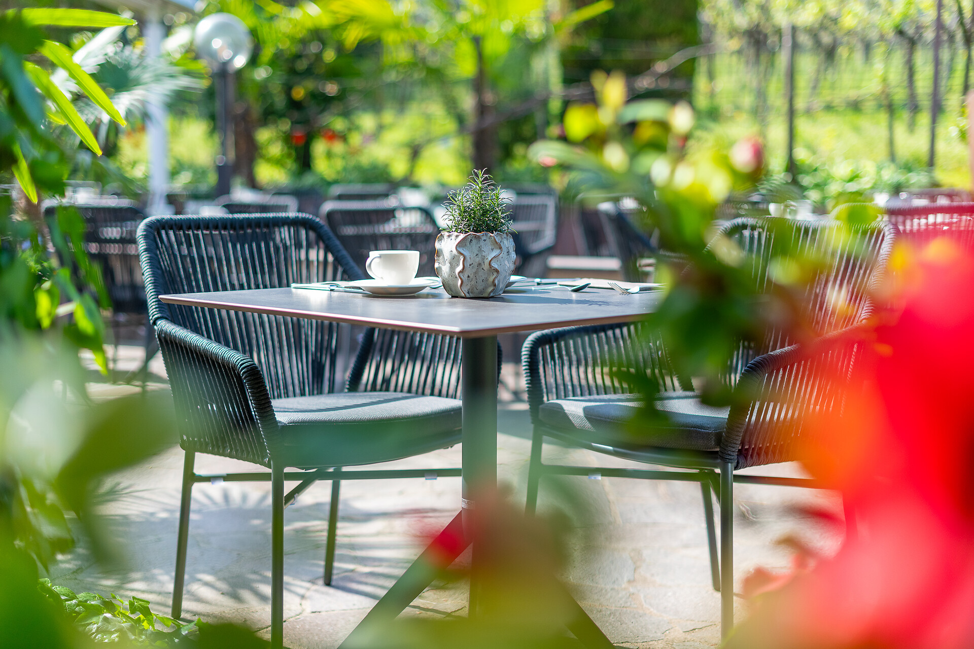 terrazza