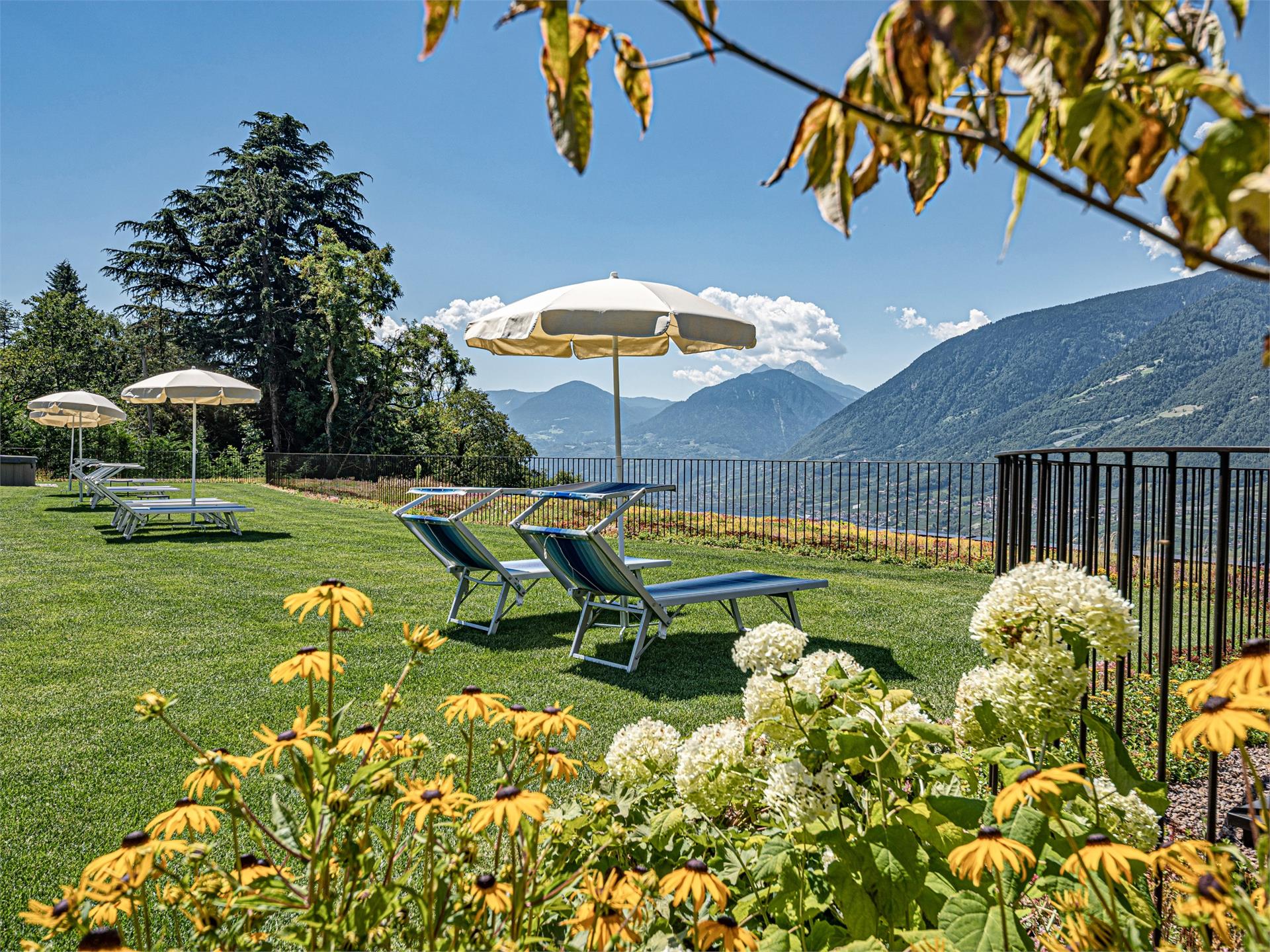 Garni-Hotel Traubenheim Tirol 4 suedtirol.info