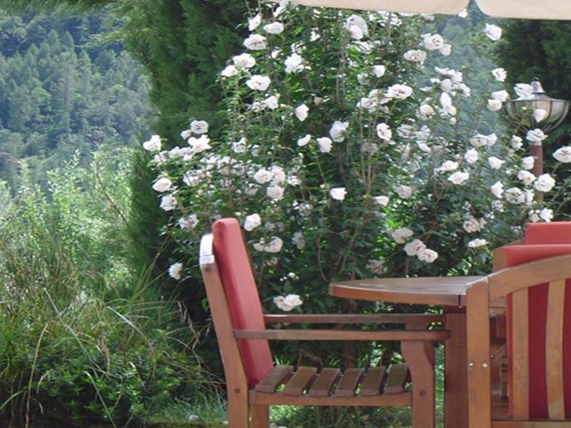 Garni-Hotel Hubertus Tirol 4 suedtirol.info