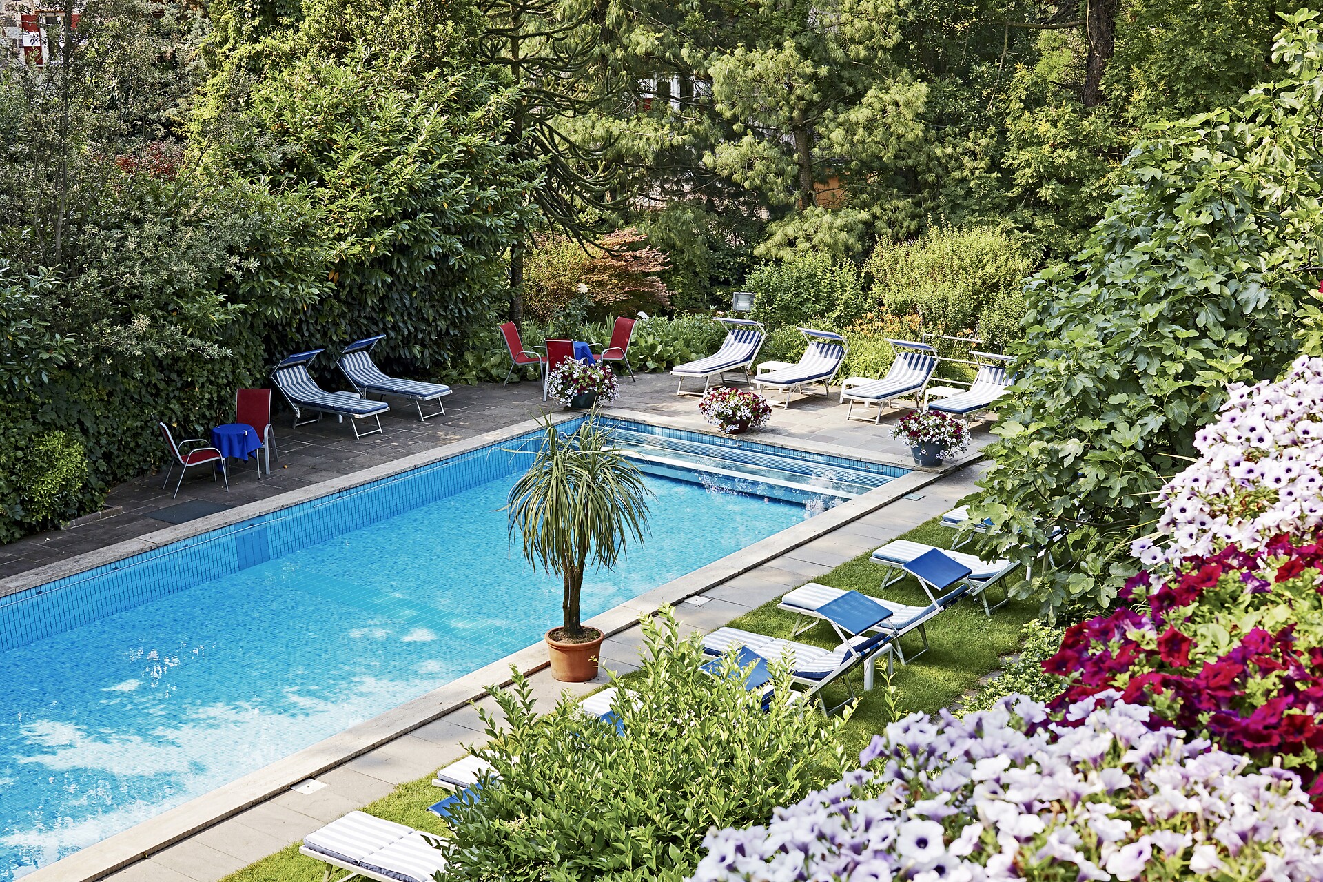 Outdoor swimming pool