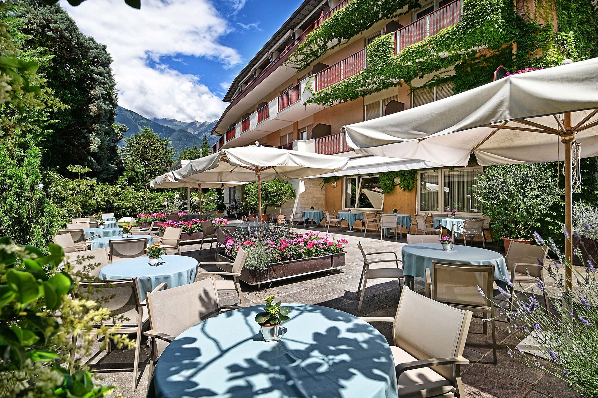 Terrace
