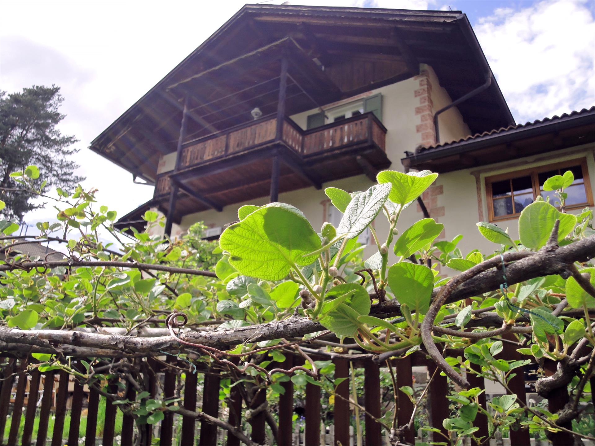 Casa Pederiva Castelrotto 12 suedtirol.info