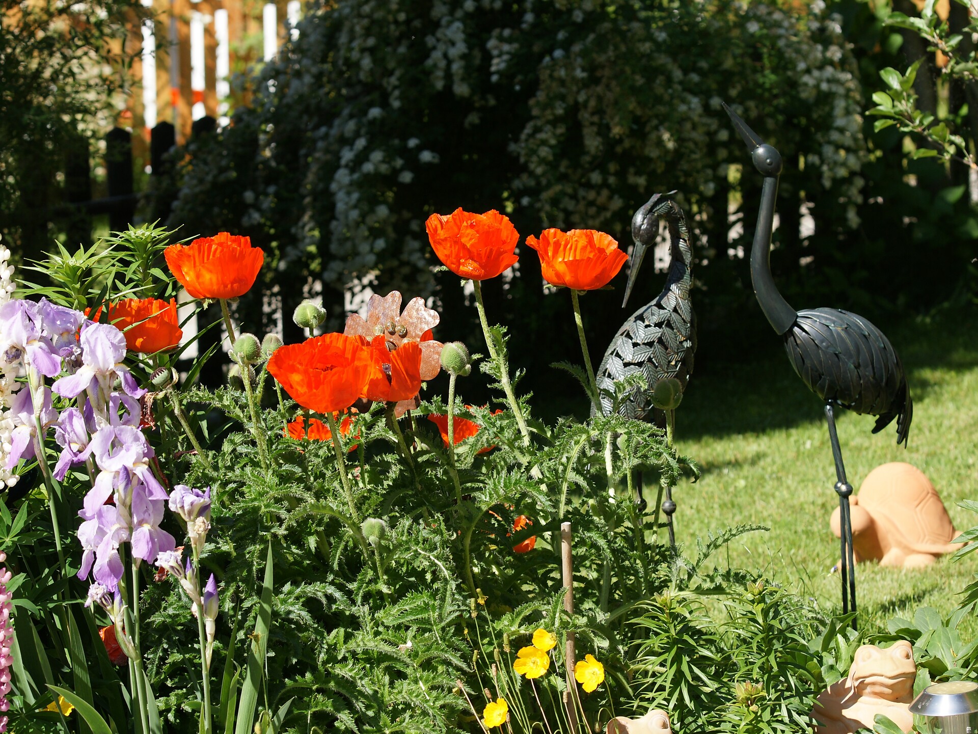 Giardino