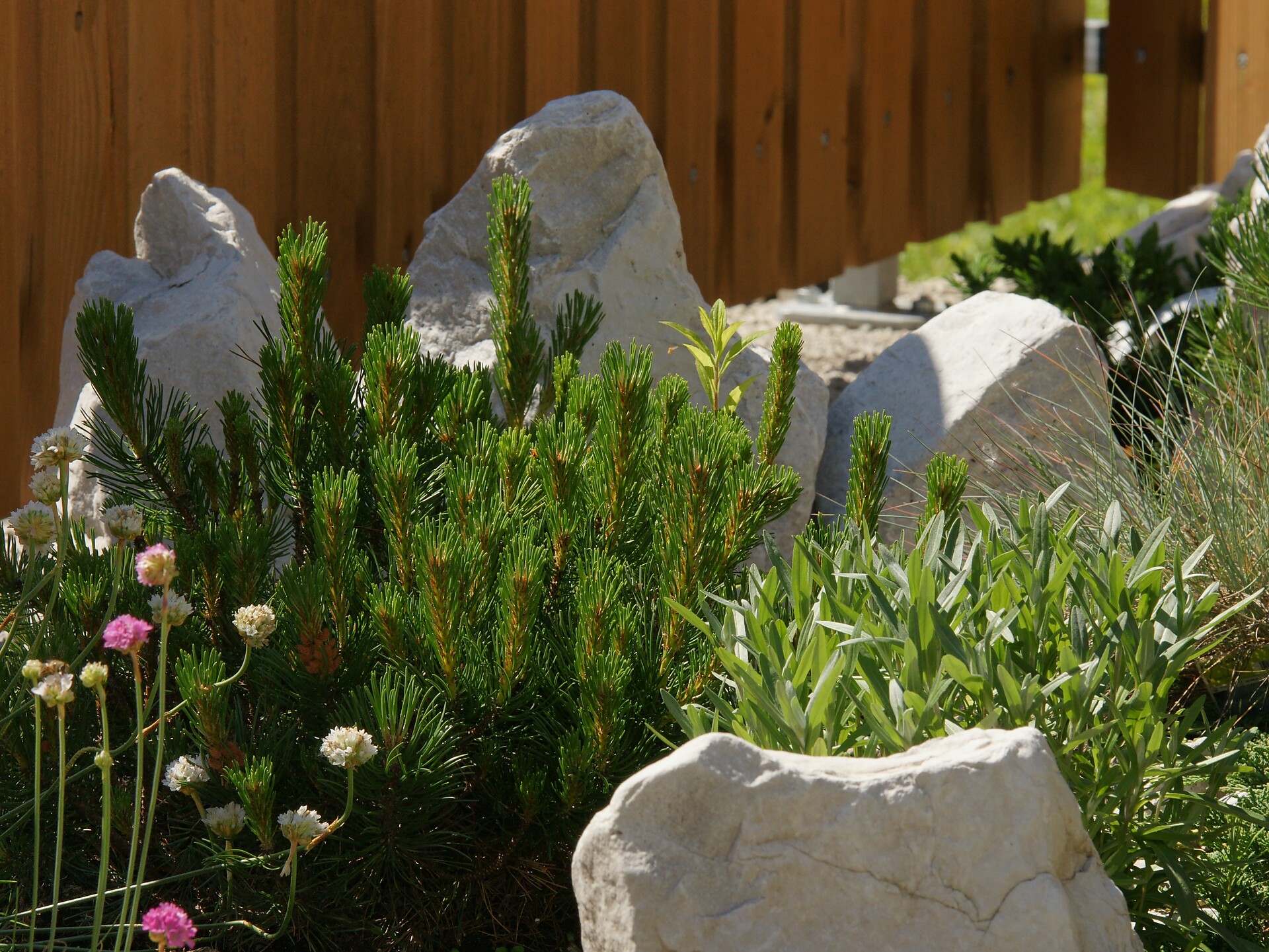 Giardino alpino